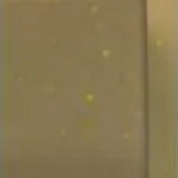 crid001a_mo_top_b_03