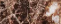 gub0038a_mo_top_a_5