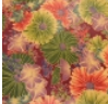 mor0095a_mo_top_a_2