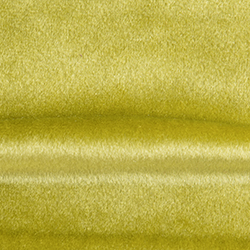 bra0029_mo_c_21