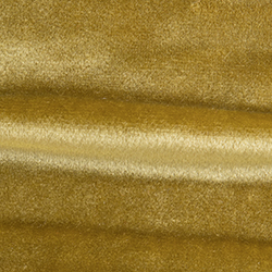 bra0029_mo_c_22