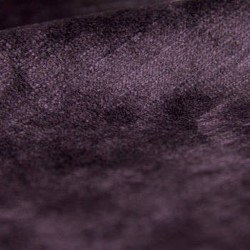 bra0039_mo_b_8